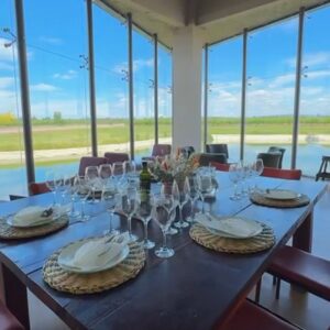 EXPERIENCIA ENTRE VIÑEDOS Y OLIVOS EN MAIPU